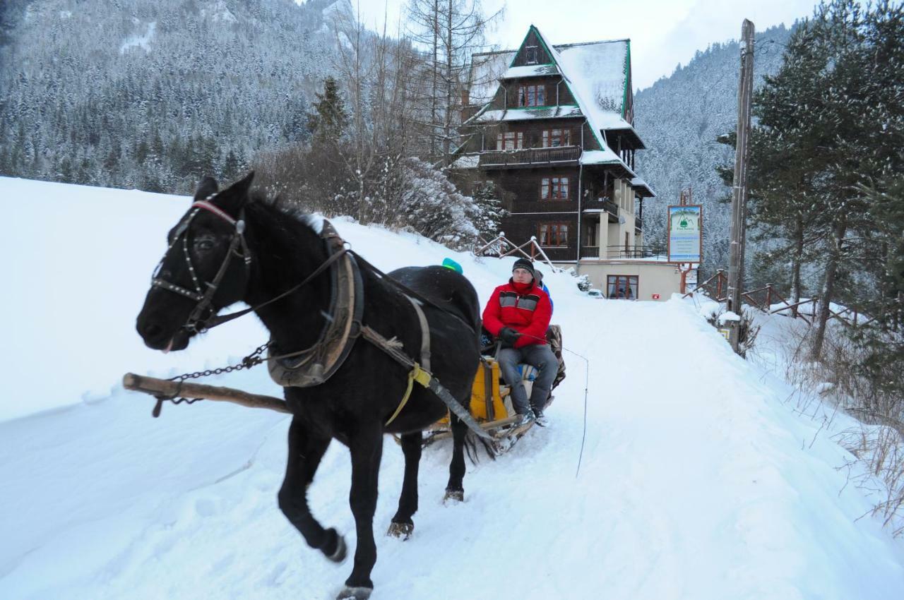 Bed and Breakfast Schronisko Pttk Trzy Korony Сромовце-Ніжне Екстер'єр фото